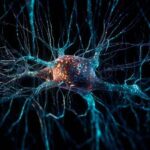 02_dcj_neuronio_priom