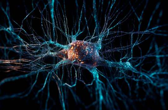 02_dcj_neuronio_priom