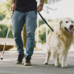 Blind man with guide dog in a summer city