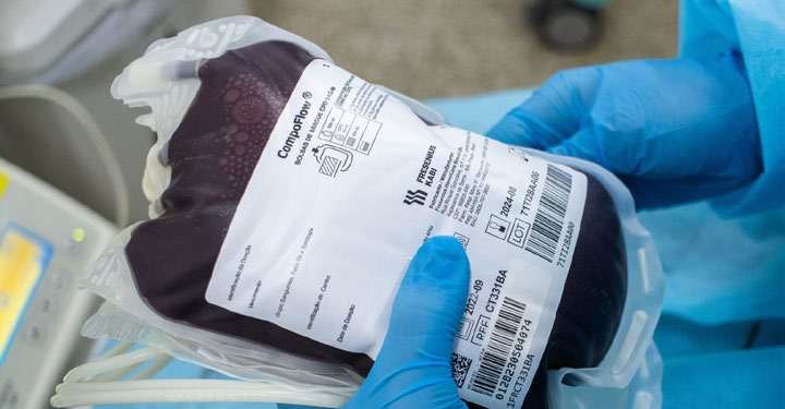 Bolsa de sangue Hemose