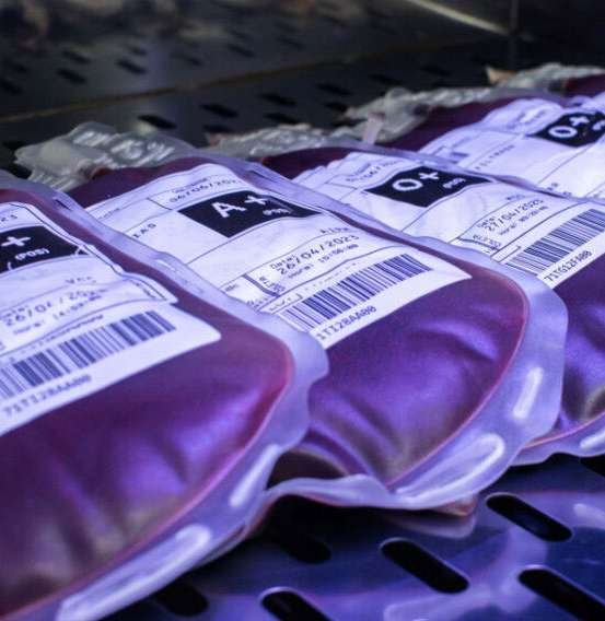 Bolsas de sangue armazenadas no Hemose