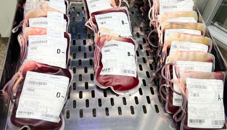 Bolsas de sangue armazenadas no Hemose