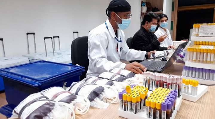 Profissionais do Hemose organizando bolsas e tubos de coleta de sangue