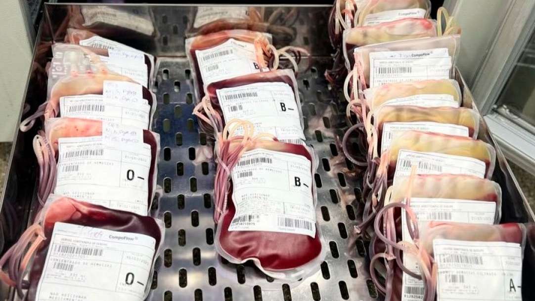 Bolsas de sangue armazenadas no Hemose